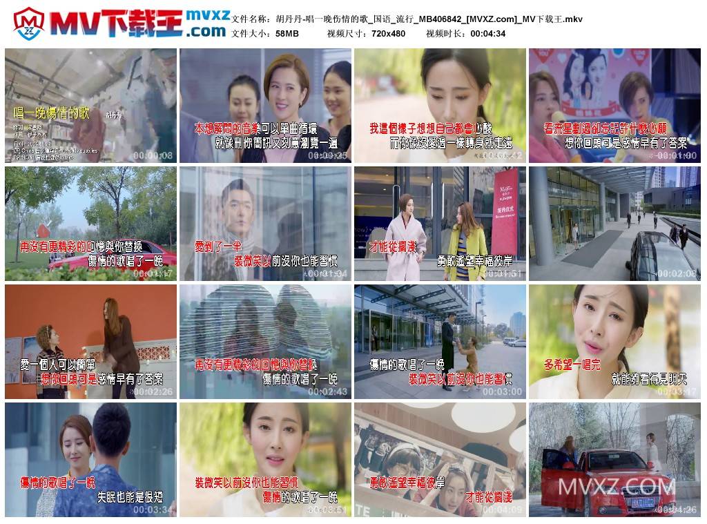 胡丹丹-唱一晚伤情的歌_国语_流行_MB406842